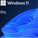 Windows 11 Pro, 64-bit, Engleza, OEM, DVD