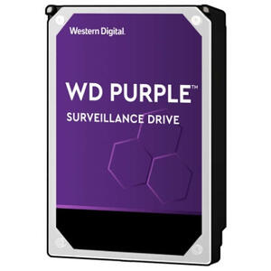 Western Digital Purple 10TB, 7200RPM, 256MB Cache, SATA III