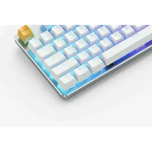 Glorious PC Gaming Race GMMK TKL White Ice Edition - Gateron Brown, US Layout