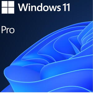 Microsoft Windows 11 Pro, 64-bit, Engleza, OEM, DVD