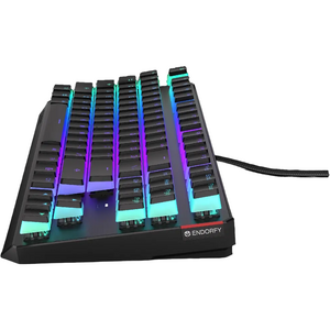 ENDORFY Thock TKL Pudding Brown, RGB, USB, switch Kailh Brown, Layout US, Negru