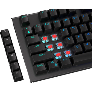 ENDORFY set 124 taste PBT, RGB, Negru