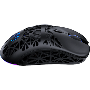 ENDORFY LIV Plus Wireless, 26000 DPI, RGB, Negru