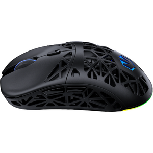 ENDORFY LIV Plus Wireless, 26000 DPI, RGB, Negru