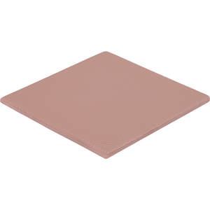 Thermal Grizzly Minus Pad 8, 100x100x3 mm