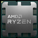 Ryzen 5 7600X Tray, AMD AM5, 6-Core HT, 4.7/ 5.3 Ghz, 32 MB, DDR5, RDNA2 105W