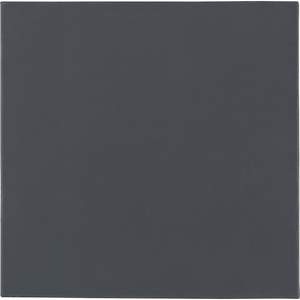 Thermal Grizzly Minus Pad Pro, 100x100x2.0 mm