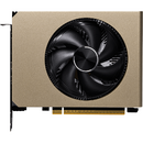 GeForce RTX 5060 8G INSPIRE ITX OC, GDDR7, 128 bit