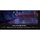 Monitor MSI MAG 255XF, IPS, 24.5 inch, Full HD, 1920 x 1080, Displayport, HDMI, 300Hz, 0.5 ms, Negru Resigilat/Reparat